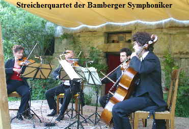 Streicherquartet der Bamberger Symphoniker